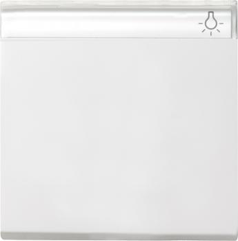 Gira System 55 Wippe mit Beschriftungsfeld Reinwei§ gl_nzend 029903