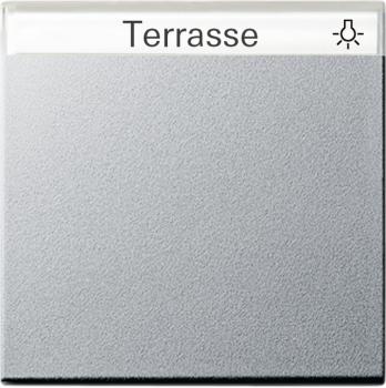 Gira System 55 Wippe mit Beschriftungsfeld Farbe Alu 029926