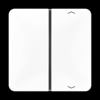 Jung Taste 1fach, mit Pfeilsymbolen, F40, Serie CD, alpinweiß CD401TSAPWW