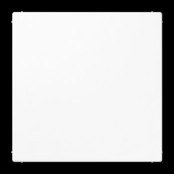 Jung Blind-Abdeckung (gerastet) Zentralplatte, Thermoplast, Serie LS, alpinweiß LS994BWWPL