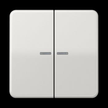 Jung KNX RF Taster 2fach, Duroplast, Serie CD, lichtgrau CD10921STRFLG