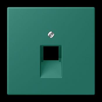 Jung Abdeckung für IAE/UAE-Anschlussdosen 1 x 8-polig, Thermoplast lackiert, Serie LS, vert anglais LC969-1UA216