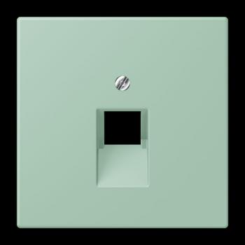 Jung Abdeckung für IAE/UAE-Anschlussdosen 1 x 8-polig, Thermoplast lackiert, Serie LS, vert anglais clair LC969-1UA217