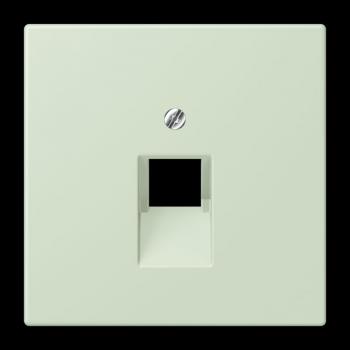 Jung Abdeckung für IAE/UAE-Anschlussdosen 1 x 8-polig, Thermoplast lackiert, Serie LS, vert anglâis pale LC969-1UA218