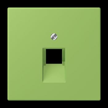 Jung Abdeckung für IAE/UAE-Anschlussdosen 1 x 8-polig, Thermoplast lackiert, Serie LS, vert 31 LC969-1UA220