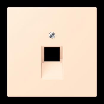 Jung Abdeckung für IAE/UAE-Anschlussdosen 1 x 8-polig, Thermoplast lackiert, Serie LS, terre sienne pâle LC969-1UA238