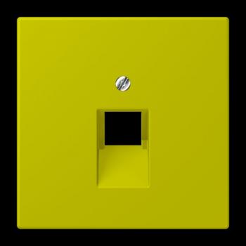 Jung Abdeckung für IAE/UAE-Anschlussdosen 1 x 8-polig, Thermoplast lackiert, Serie LS, vert olive vif LC969-1UA249