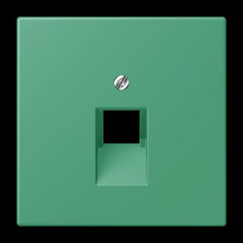 Jung Abdeckung für IAE/UAE-Anschlussdosen 1 x 8-polig, Thermoplast lackiert, Serie LS, vert 59 LC969-1UA250