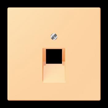 Jung Abdeckung für IAE/UAE-Anschlussdosen 1 x 8-polig, Thermoplast lackiert, Serie LS, terre sienne claire 59 LC969-1UA258