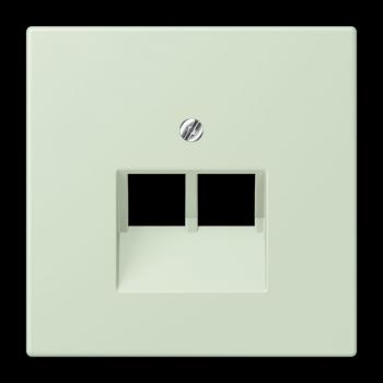 Jung Abdeckung für IAE/UAE-Anschlussdosen 2 x 8-polig, Thermoplast lackiert, Serie LS, vert anglâis pale LC969-2UA218