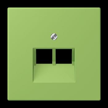 Jung Abdeckung für IAE/UAE-Anschlussdosen 2 x 8-polig, Thermoplast lackiert, Serie LS, vert 31 LC969-2UA220