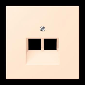 Jung Abdeckung für IAE/UAE-Anschlussdosen 2 x 8-polig, Thermoplast lackiert, Serie LS, terre sienne pâle LC969-2UA238