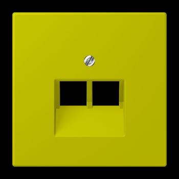 Jung Abdeckung für IAE/UAE-Anschlussdosen 2 x 8-polig, Thermoplast lackiert, Serie LS, vert olive vif LC969-2UA249