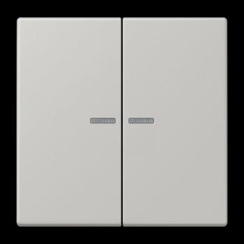 Jung JUNG HOME Taster 2fach, Serie LS, gris clair 31 BTLC17102205