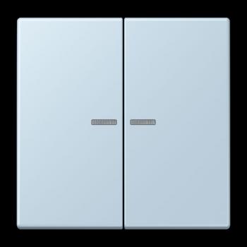 Jung JUNG HOME Taster 2fach, Serie LS, outremerclair BTLC17102208