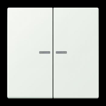 Jung JUNG HOME Taster 2fach, Serie LS, outremer gris BTLC17102210