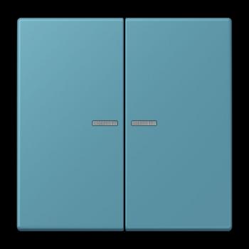 Jung JUNG HOME Taster 2fach, Serie LS, céruléen vif BTLC17102212