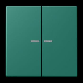 Jung JUNG HOME Taster 2fach, Serie LS, vert anglais BTLC17102216