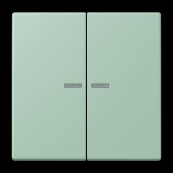 Jung JUNG HOME Taster 2fach, Serie LS, vert anglais clair BTLC17102217