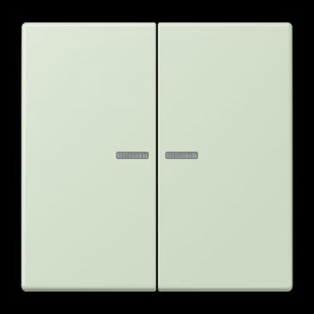 Jung JUNG HOME Taster 2fach, Serie LS, vert anglâis pale BTLC17102218