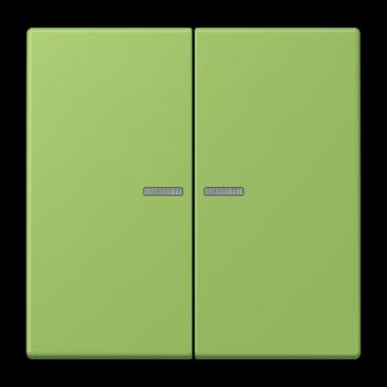Jung JUNG HOME Taster 2fach, Serie LS, vert 31 BTLC17102220