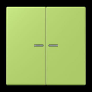 Jung JUNG HOME Taster 2fach, Serie LS, vert clair BTLC17102221