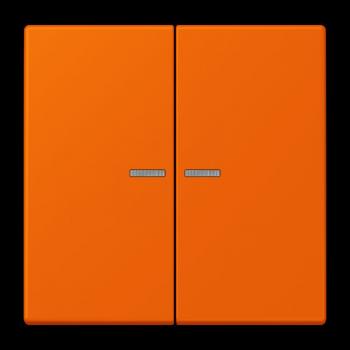 Jung JUNG HOME Taster 2fach, Serie LS, orange BTLC17102224