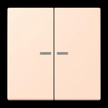 Jung JUNG HOME Taster 2fach, Serie LS, rose pâle BTLC17102228