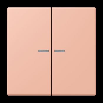 Jung JUNG HOME Taster 2fach, Serie LS, rose clair BTLC17102231