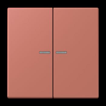 Jung JUNG HOME Taster 2fach, Serie LS, terre sienne brique BTLC17102236