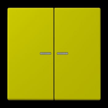 Jung JUNG HOME Taster 2fach, Serie LS, vert olive vif BTLC17102249