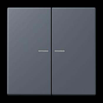 Jung JUNG HOME Taster 2fach, Serie LS, gris fonce 59 BTLC17102262