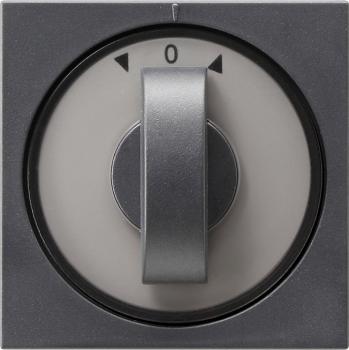 Gira System 55 Jalousie Drehgriff Knebel Anthrazit 066628