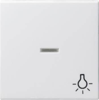 Gira System 55 Kontroll-Wippe Symbol Licht Reinwei§ gl_nzend 067403