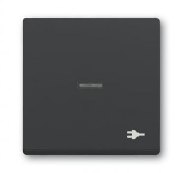 B+J Wippe mit Aufdruck, anthrazit, future linear, Abdeckungen für Schalter/Taster 1789 ST-81