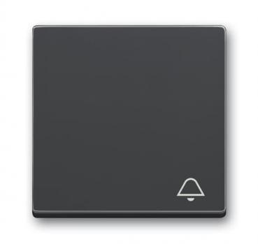 B+J Wippe mit Aufdruck, anthrazit, future linear, Abdeckungen für Schalter/Taster 2520 KI-81