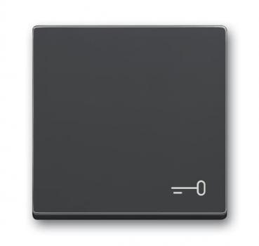 B+J Wippe mit Aufdruck, anthrazit, future linear, Abdeckungen für Schalter/Taster 2520 TR-81