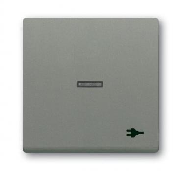 B+J Wippe mit Aufdruck, graumetallic, solo, Abdeckungen für Schalter/Taster 1789 ST-803