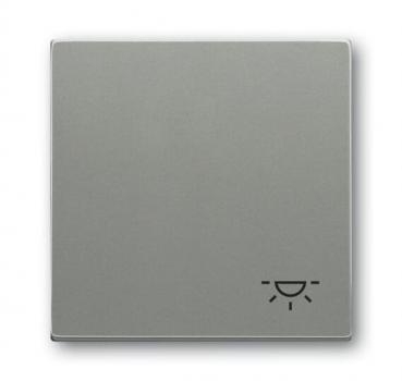 B+J Wippe mit Aufdruck, graumetallic, solo, Abdeckungen für Schalter/Taster 2520 LI-803