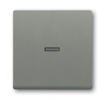 B+J Wippe, graumetallic, solo, Abdeckungen für Schalter/Taster 1789 N-803