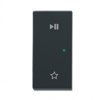 B+J Wippe, anthrazit, Busch-free@home, Abdeckungen 6237-21-81