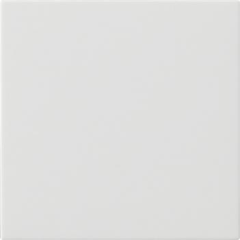 Gira System 55 Tast Dimmer Abdeckung Reinwei§ glaenzend 536003