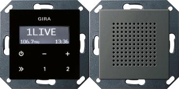 Gira UP-Radio RDS Lautsprecher System 55 Edelstahl 2280600