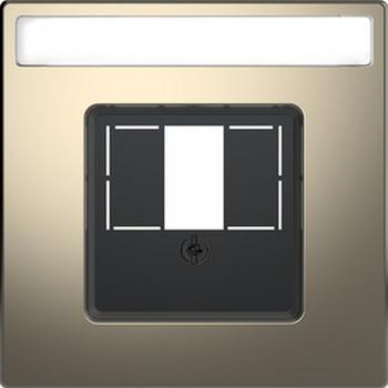 Merten Zentralpl. m. rechteckigem Ausschnitt u. Schriftf., Nickelmetallic, Sys. Design MEG4250-6050