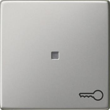 Gira System 55 Kontrollwippe mit Symbol TŸr Edelstahl 0287600