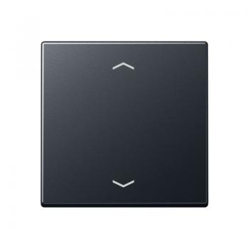 Jung Steuertaste Standard -Pfeile A1700BFPANM