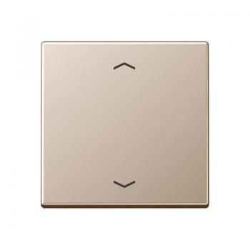 Jung Steuertaste Standard -Pfeile A1700PCH