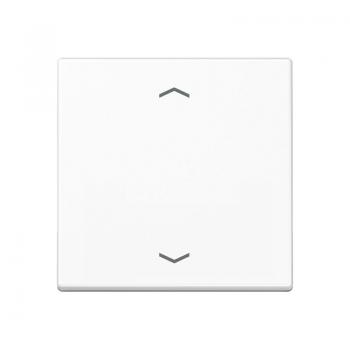 Jung Steuertaste Standard -Pfeile A1700PWW