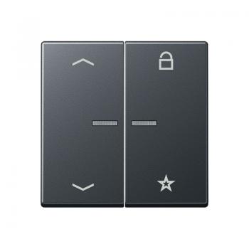 Jung Steuertaste Universal -Pfeile A1701BFPANM