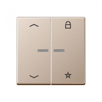 Jung Steuertaste Universal -Pfeile A1701PCH